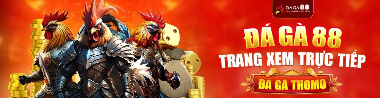 Hình ảnh minh họa các nguyên tắc bảo mật dữ liệu của k8vina casino
